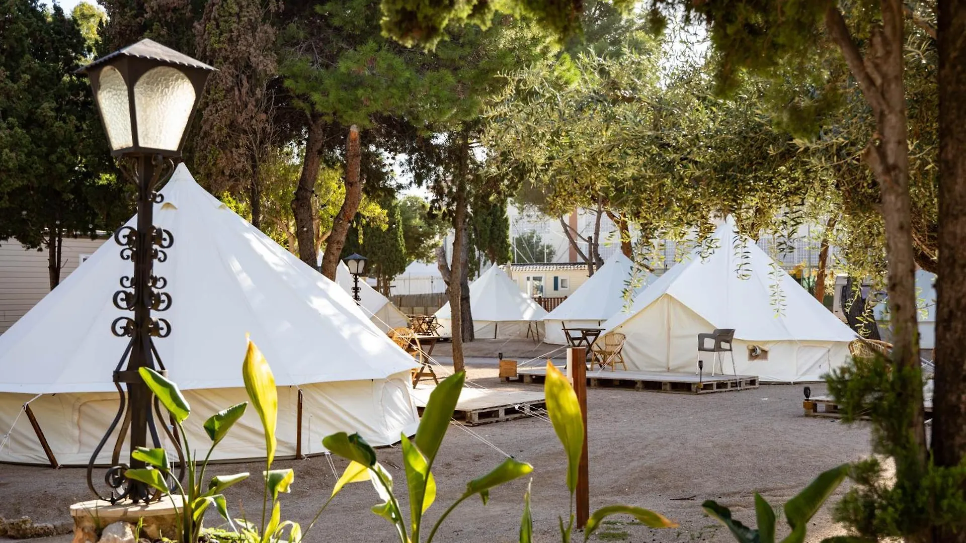 Kemp Holacamp Sant Salvador Coma-ruga